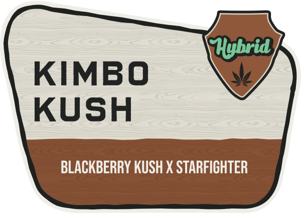 Kimbo Kush