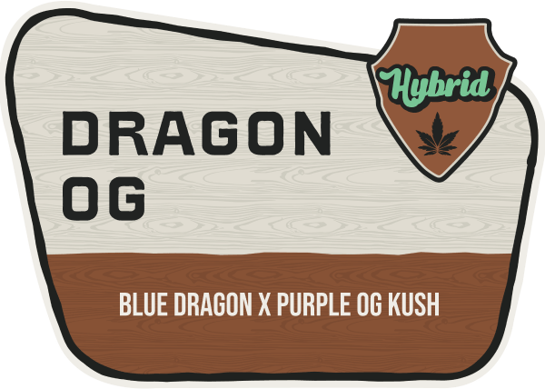 Dragon OG