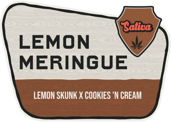 Lemon Meringue