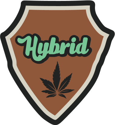 Hybrid Badge