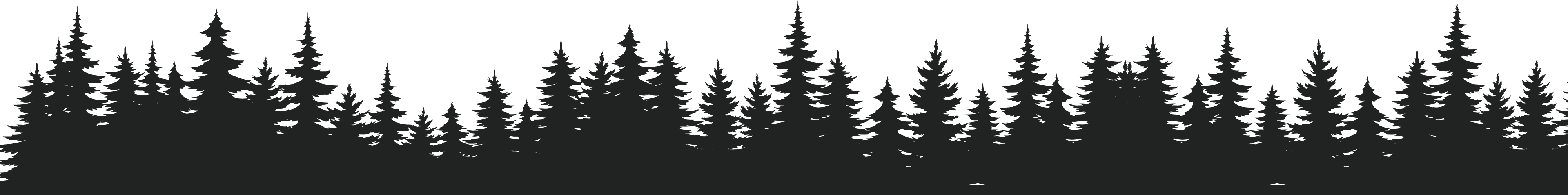 Vector