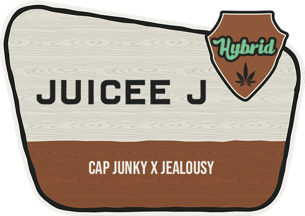 Juicee J